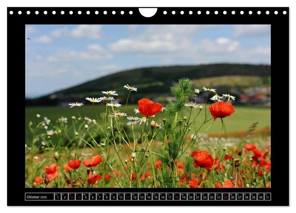Produktbild: Roter Mohn, bunte Wiesen (Wandkalender 2026 DIN A4 quer), CALVENDO Monatskalender