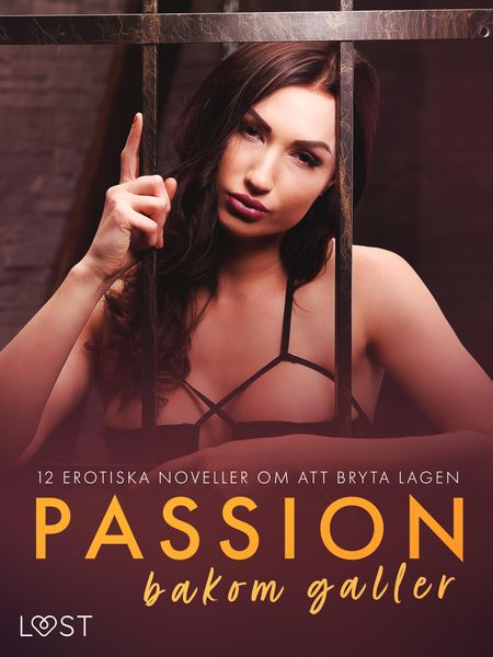 Produktbild: Passion bakom galler: 12 erotiska noveller om att bryta lagen