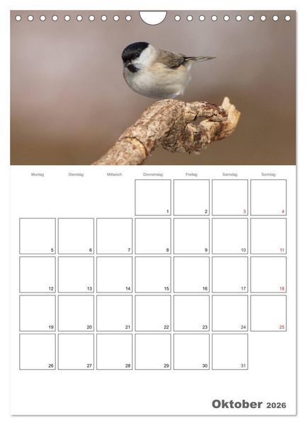 Produktbild: V&ouml;gel im heimischen Garten (Wandkalender 2026 DIN A4 hoch), CALVENDO Monatskalender