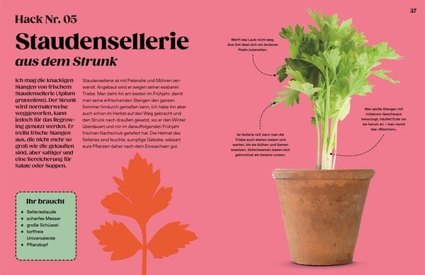 Produktbild: Regrow