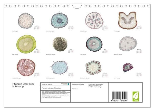 Produktbild: Pflanzen unter dem Mikroskop (Wandkalender 2026 DIN A4 quer), CALVENDO Monatskalender
