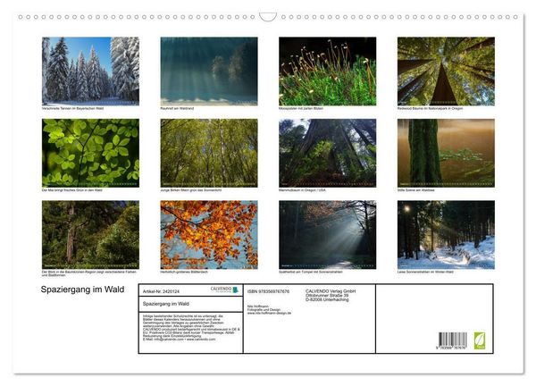 Produktbild: Spaziergang im Wald (Wandkalender 2027 DIN A2 quer), CALVENDO Monatskalender