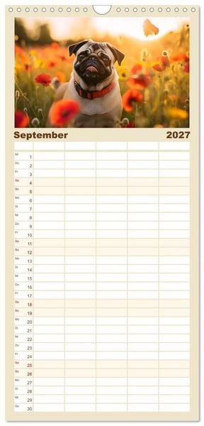 Produktbild: Familienplaner 2027 - Lustige Mops-Hunde: Die charmanten Meister von Chaos und Unfug mit 5 Spalten (Wandkalender, 21 x 45 cm) CALVENDO