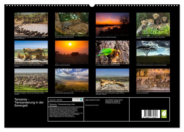Produktbild: Tansania - Tierwanderung in der Serengeti (hochwertiger Premium Wandkalender 2026 DIN A2 quer), Kunstdruck in Hochglanz