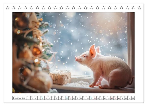 Produktbild: Pure Gl&uuml;cksmomente (Tischkalender 2026 DIN A5 quer), CALVENDO Monatskalender