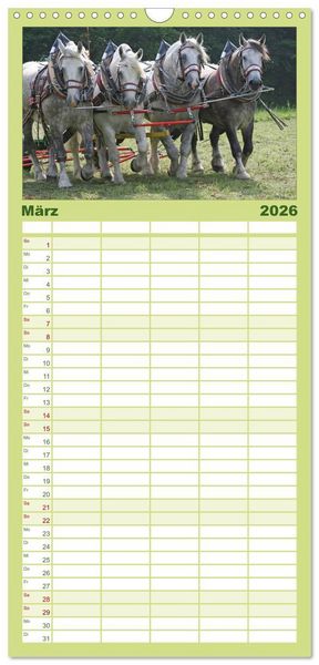 Produktbild: Familienplaner 2026 - Starke Pferde bei der Arbeit mit 5 Spalten (Wandkalender, 21 x 45 cm) CALVENDO