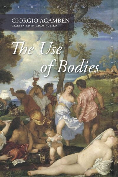 Produktbild: The Use of Bodies