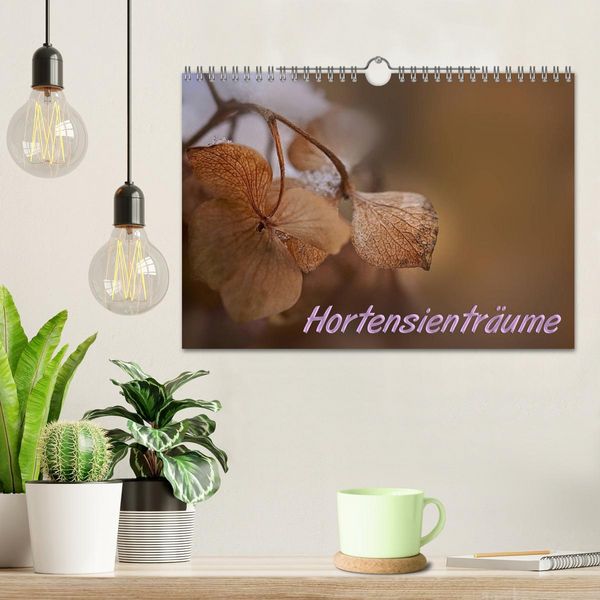 Produktbild: Hortensientr&auml;ume (Wandkalender 2026 DIN A4 quer), CALVENDO Monatskalender