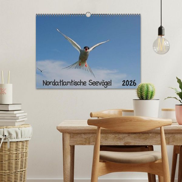 Produktbild: Nordatlantische Seev&ouml;gel (Wandkalender 2026 DIN A3 quer), CALVENDO Monatskalender