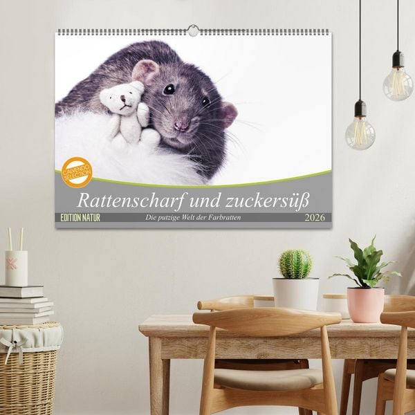 Produktbild: Rattenscharf und zuckers&uuml;&szlig; (Wandkalender 2026 DIN A2 quer), CALVENDO Monatskalender