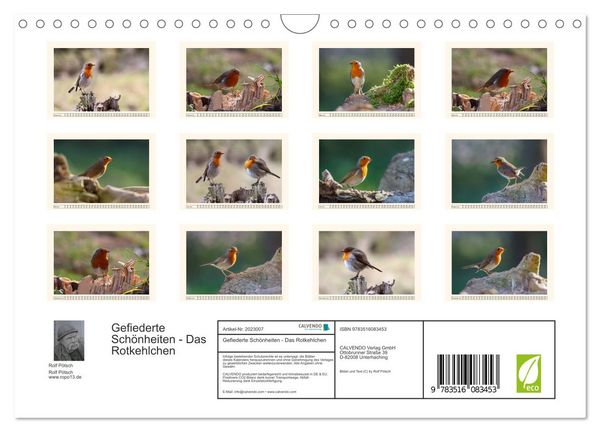 Produktbild: Gefiederte Sch&ouml;nheiten - Das Rotkehlchen (Wandkalender 2026 DIN A4 quer), CALVENDO Monatskalender