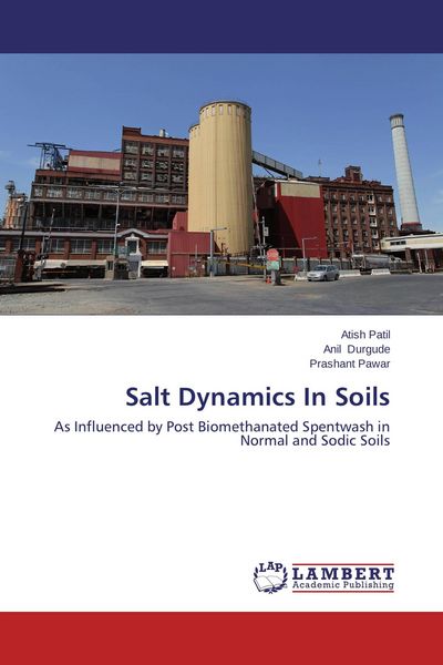 Produktbild: Salt Dynamics In Soils