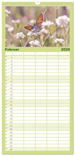 Produktbild: Familienplaner 2026 - Schmetterlinge. Schimmernde Zauberwesen mit 5 Spalten (Wandkalender, 21 x 45 cm) CALVENDO