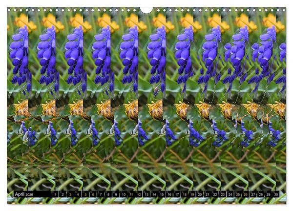 Produktbild: Magische Bilder - Stereogramme und 3D-Illusionen (Wandkalender 2026 DIN A3 quer), CALVENDO Monatskalender