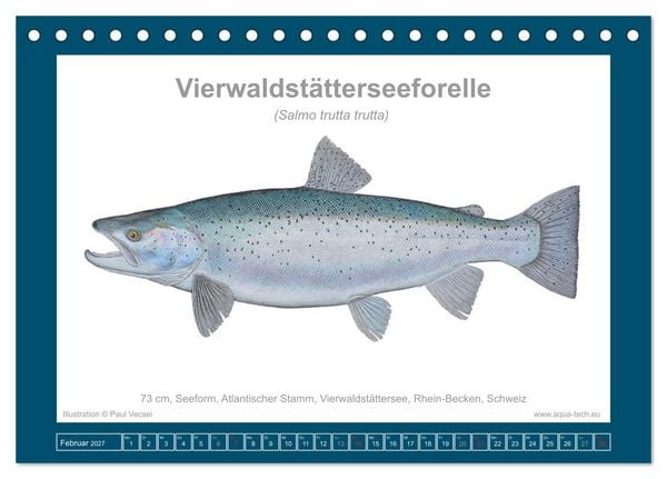 Produktbild: Fisch als Kunst 2027: Seeforellen (Tischkalender 2027 DIN A5 quer), CALVENDO Monatskalender