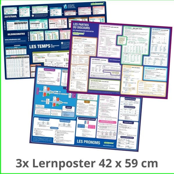 Mindmemo Lernposter 3er Set - Französische Zeiten + Wortarten + Pronomen | Grammatik lernen Grundwissen Lernhilfe, Gebundene Ausgabe von Henry