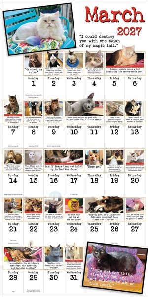 Produktbild: Bad Cat Wall Calendar 2027