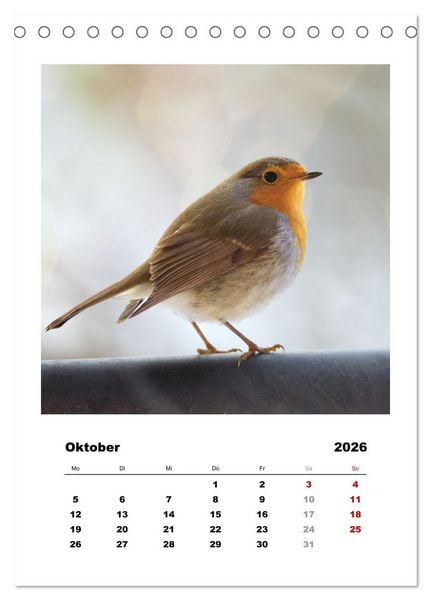 Produktbild: Rotkehlchen, s&uuml;&szlig;e kleine Knutschkugeln (Tischkalender 2026 DIN A5 hoch), CALVENDO Monatskalender