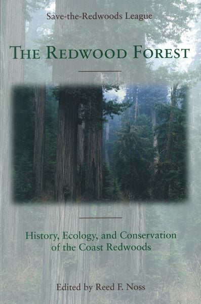 Produktbild: The Redwood Forest