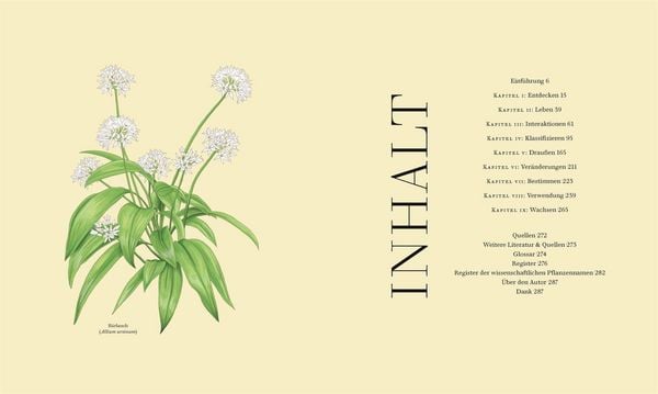 Produktbild: Wildpflanzen