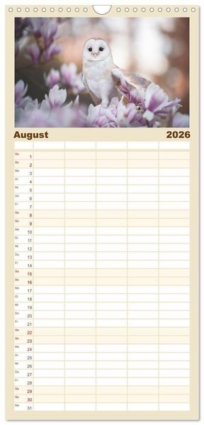 Produktbild: Familienplaner 2026 - Eulen - sch&ouml;n und geheimnisvoll mit 5 Spalten (Wandkalender, 21 x 45 cm) CALVENDO