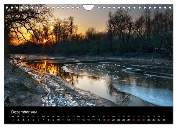 Produktbild: Mannheimer Waldpark (Wandkalender 2026 DIN A4 quer), CALVENDO Monatskalender
