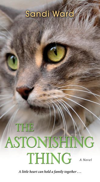 Produktbild: The Astonishing Thing