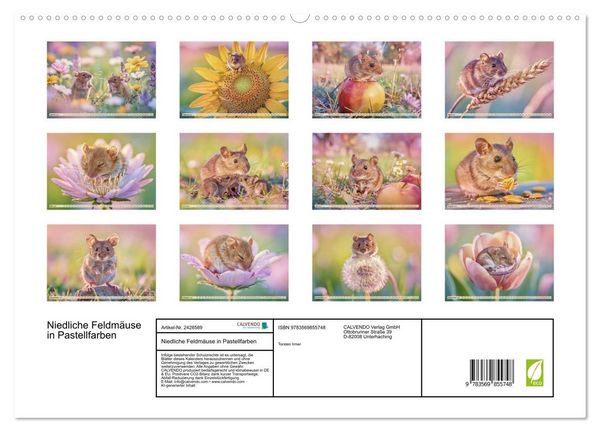 Produktbild: Niedliche Feldm&auml;use in Pastellfarben (hochwertiger Premium Wandkalender 2027 DIN A2 quer), Kunstdruck in Hochglanz