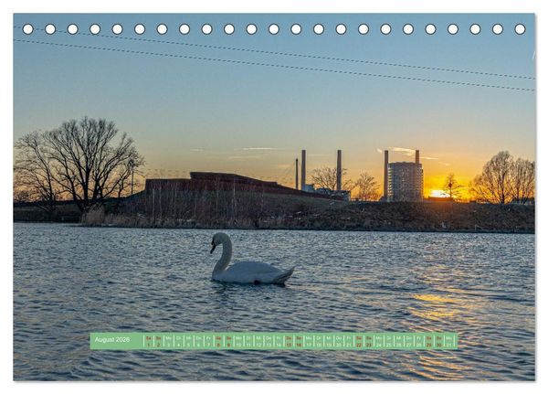 Produktbild: Wolfsburg - einfach tierisch (Tischkalender 2026 DIN A5 quer), CALVENDO Monatskalender