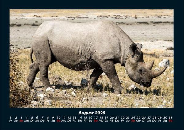 Produktbild: Tiere im Zoo 2025 Fotokalender DIN A4