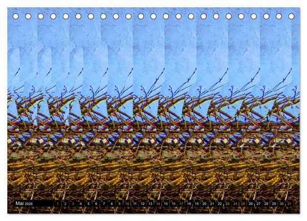Produktbild: Magische Bilder - 3D Stereogramme (Tischkalender 2026 DIN A5 quer), CALVENDO Monatskalender