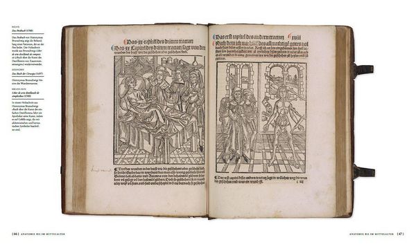 Produktbild: Die Geschichte der Anatomie