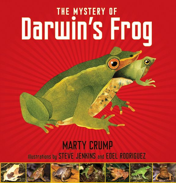 Produktbild: The Mystery of Darwin's Frog