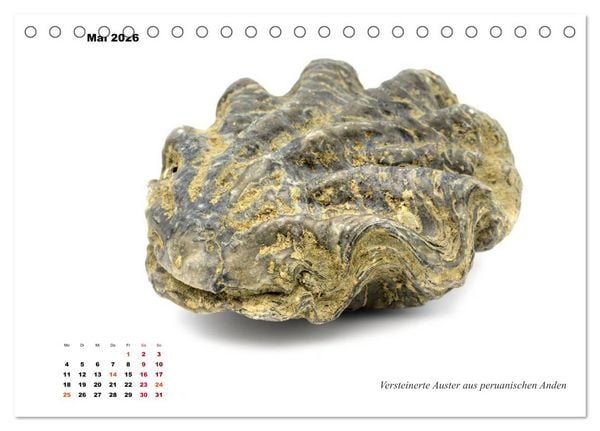 Produktbild: Fossilien - Ammoniten, Trilobiten, Erdgeschichte (Tischkalender 2026 DIN A5 quer), CALVENDO Monatskalender