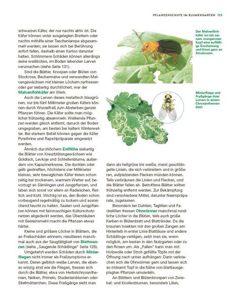 Produktbild: Das gro&szlig;e Buch der Stauden und Sommerblumen