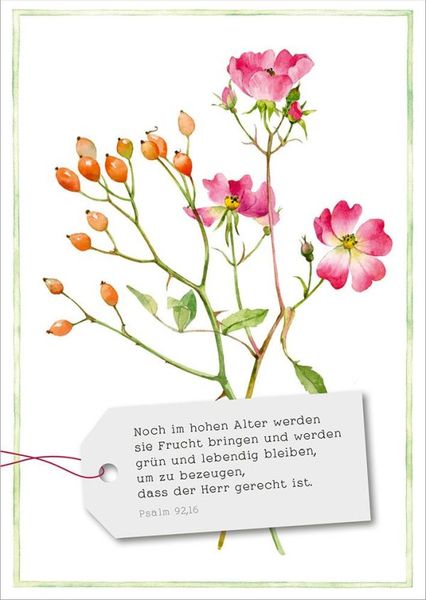 Produktbild: GartenGl&uuml;ck - Postkartenset