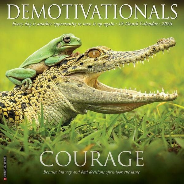 Produktbild: Demotivationals 2026 12 X 12 Wall Calendar