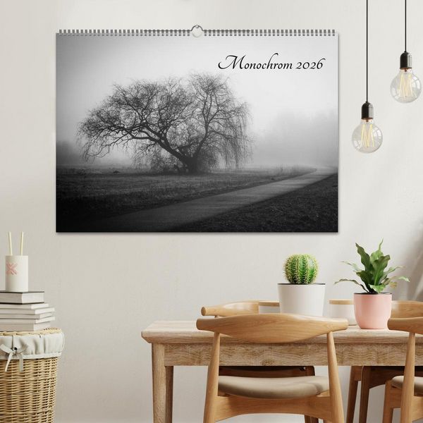 Produktbild: Monochrom 2026 (Wandkalender 2026 DIN A2 quer), CALVENDO Monatskalender