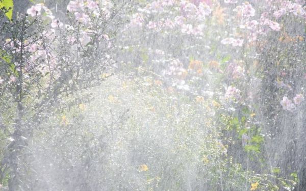 Produktbild: Gardena - Spr&uuml;hschlauch - 15 m - in verschiedenen