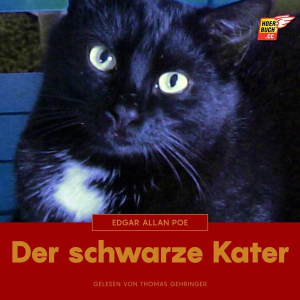 Der schwarze Kater - Edgar Allan Poe, Audio, 9783991481409