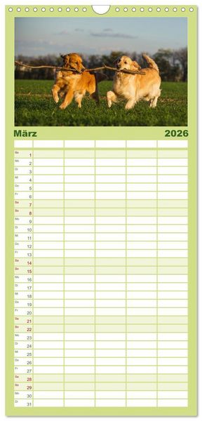Produktbild: Familienplaner 2026 - Das Gl&uuml;ck hat einen Namen - Golden Retriever mit 5 Spalten (Wandkalender, 21 x 45 cm) CALVENDO