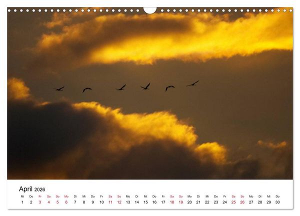 Produktbild: Zug der Kraniche (Wandkalender 2026 DIN A3 quer), CALVENDO Monatskalender