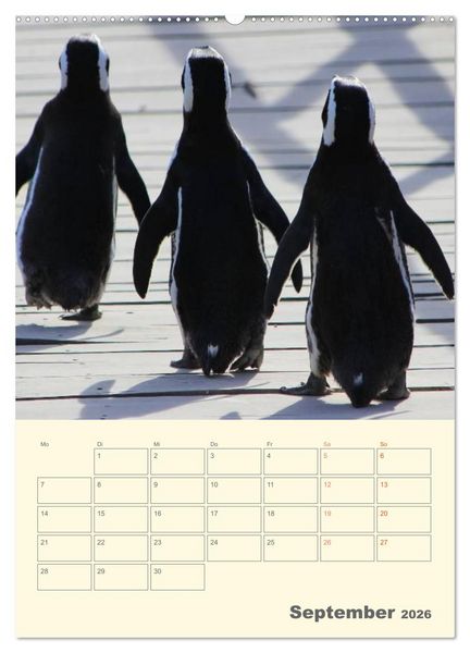 Produktbild: Mit Pinguinen durch das Jahr (Wandkalender 2026 DIN A2 hoch), CALVENDO Monatskalender