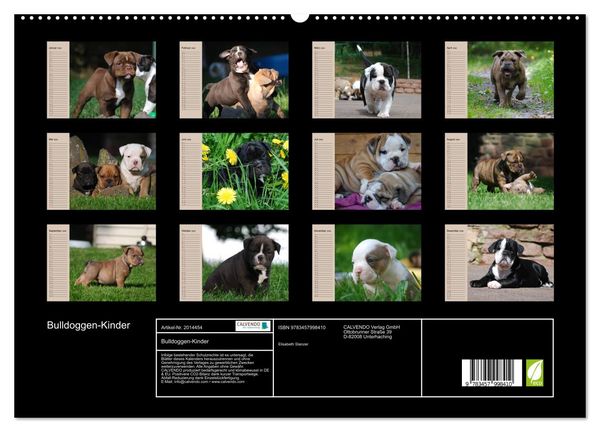 Produktbild: Bulldoggen-Kinder (hochwertiger Premium Wandkalender 2026 DIN A2 quer), Kunstdruck in Hochglanz