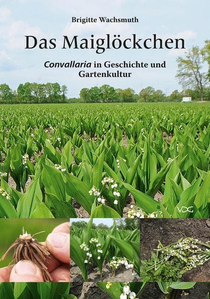 Produktbild: Das Maigl&ouml;ckchen