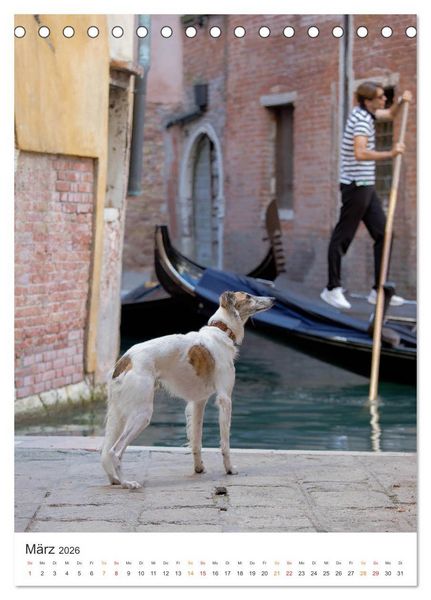 Produktbild: Silken Windsprites - Zwei Windhunde erobern die Lagunenstadt Venedig (Tischkalender 2026 DIN A5 hoch), CALVENDO Monatskalender