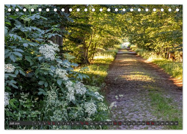Produktbild: R&uuml;gen - Inseltraumblicke (Tischkalender 2026 DIN A5 quer), CALVENDO Monatskalender