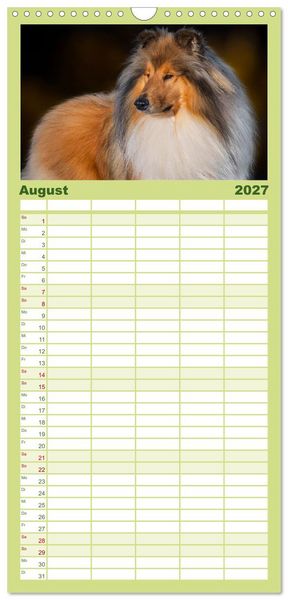 Produktbild: Familienplaner 2027 - Traumhund Collie - Mein bester Freund mit 5 Spalten (Wandkalender, 21 x 45 cm) CALVENDO