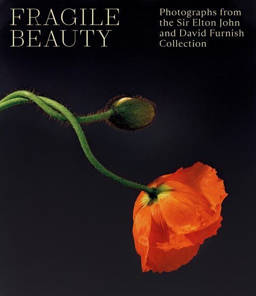 Produktbild: Fragile Beauty