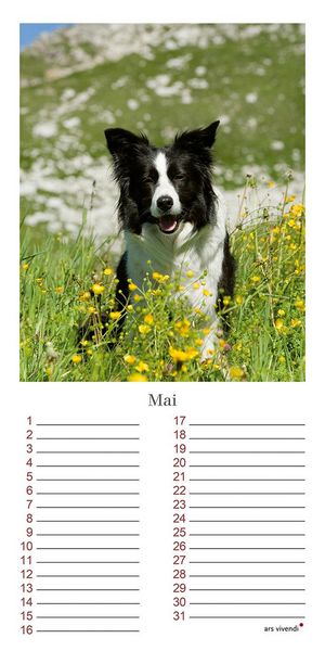 Produktbild: Geburtstagskalender Hunde
